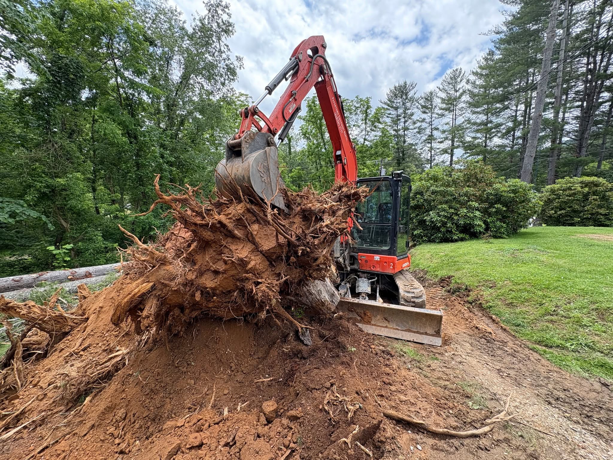 Tree Removal